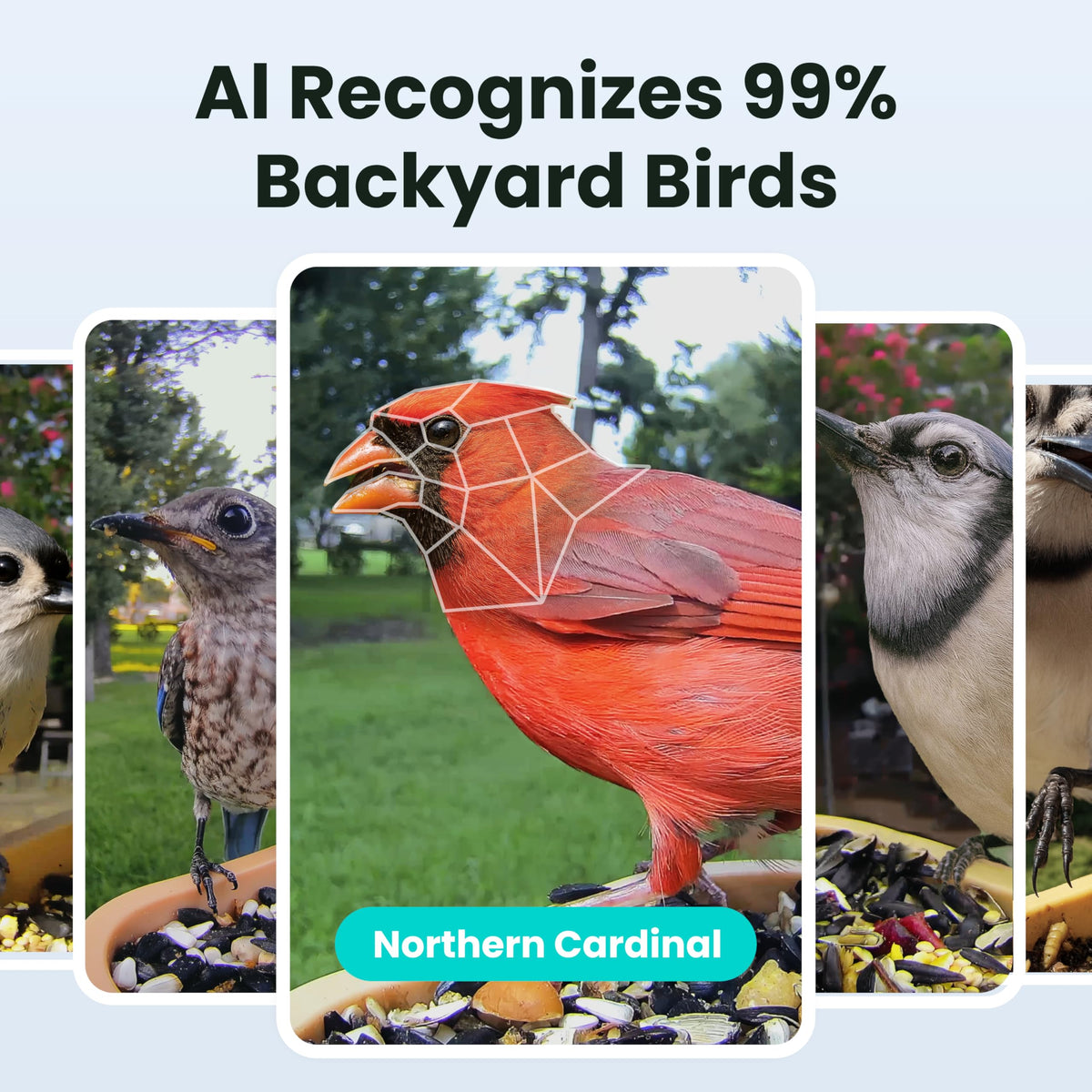 Birdfy Eco-friendly recycled-plastic materials emphasize sustainable construction for nature lovers.