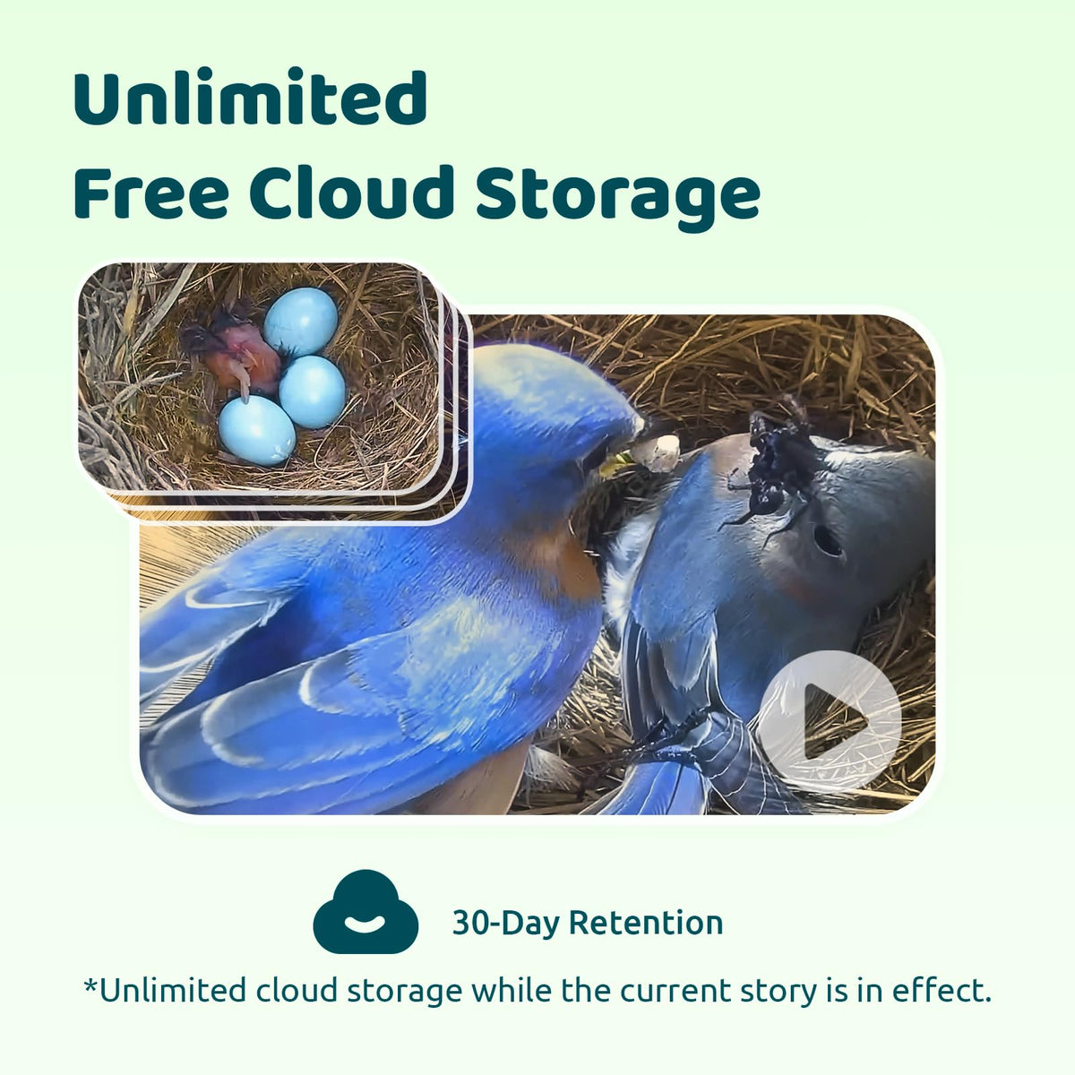 Birdfy community connects bird lovers worldwide for sharing stories and videos.