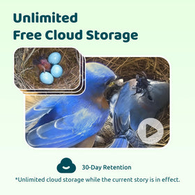 Birdfy community connects bird lovers worldwide for sharing stories and videos.