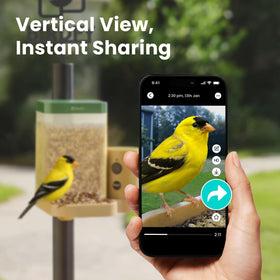 Birdfy IP66 weatherproof design withstands rain, snow, and sun.