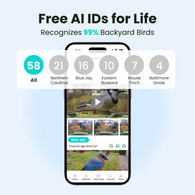 Birdfy live-streaming birdwatching enables remote viewing and sharing.