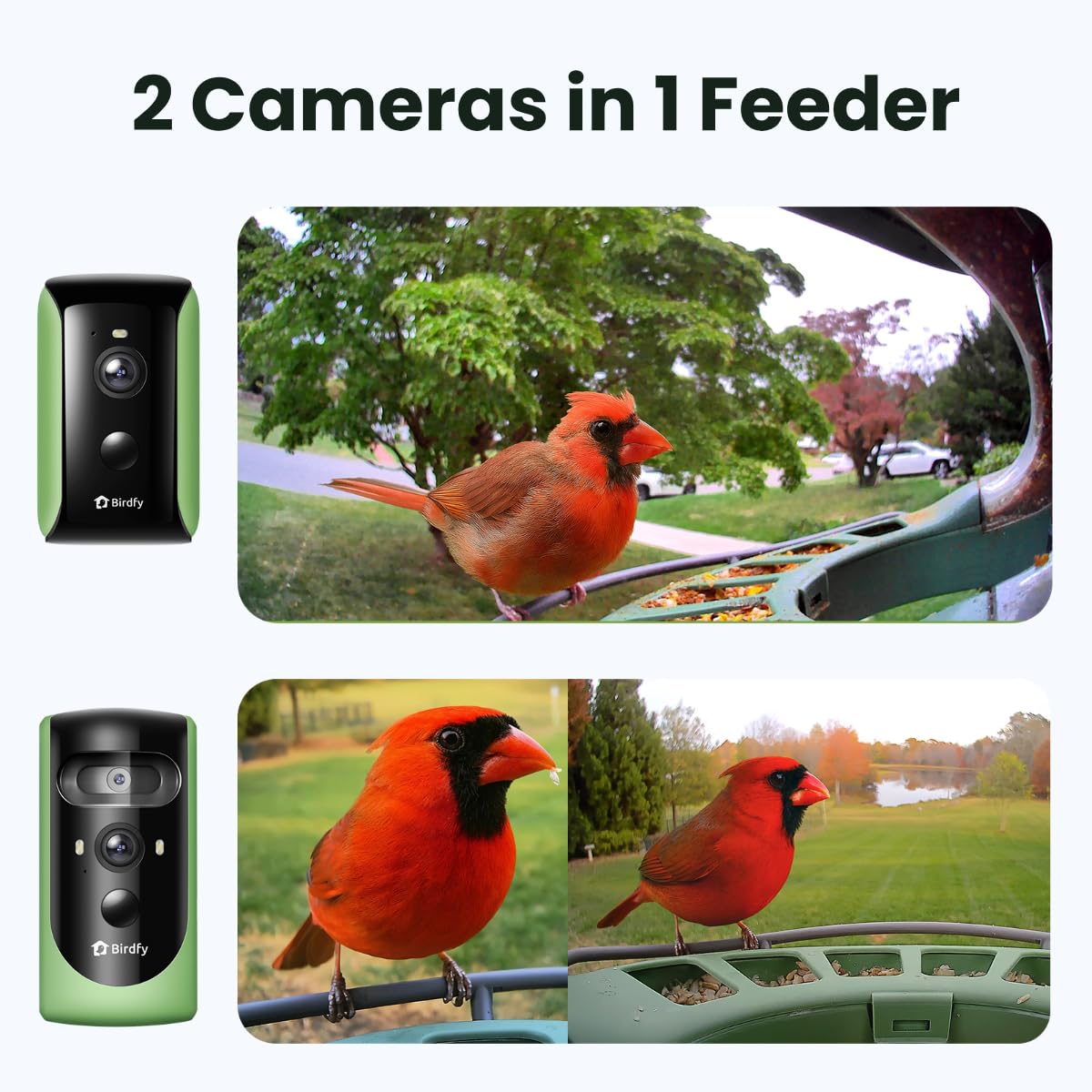 Birdfy portrait lens tracks birds for sharp 2K videos and detailed photography