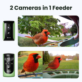 Birdfy portrait lens tracks birds for sharp 2K videos and detailed photography