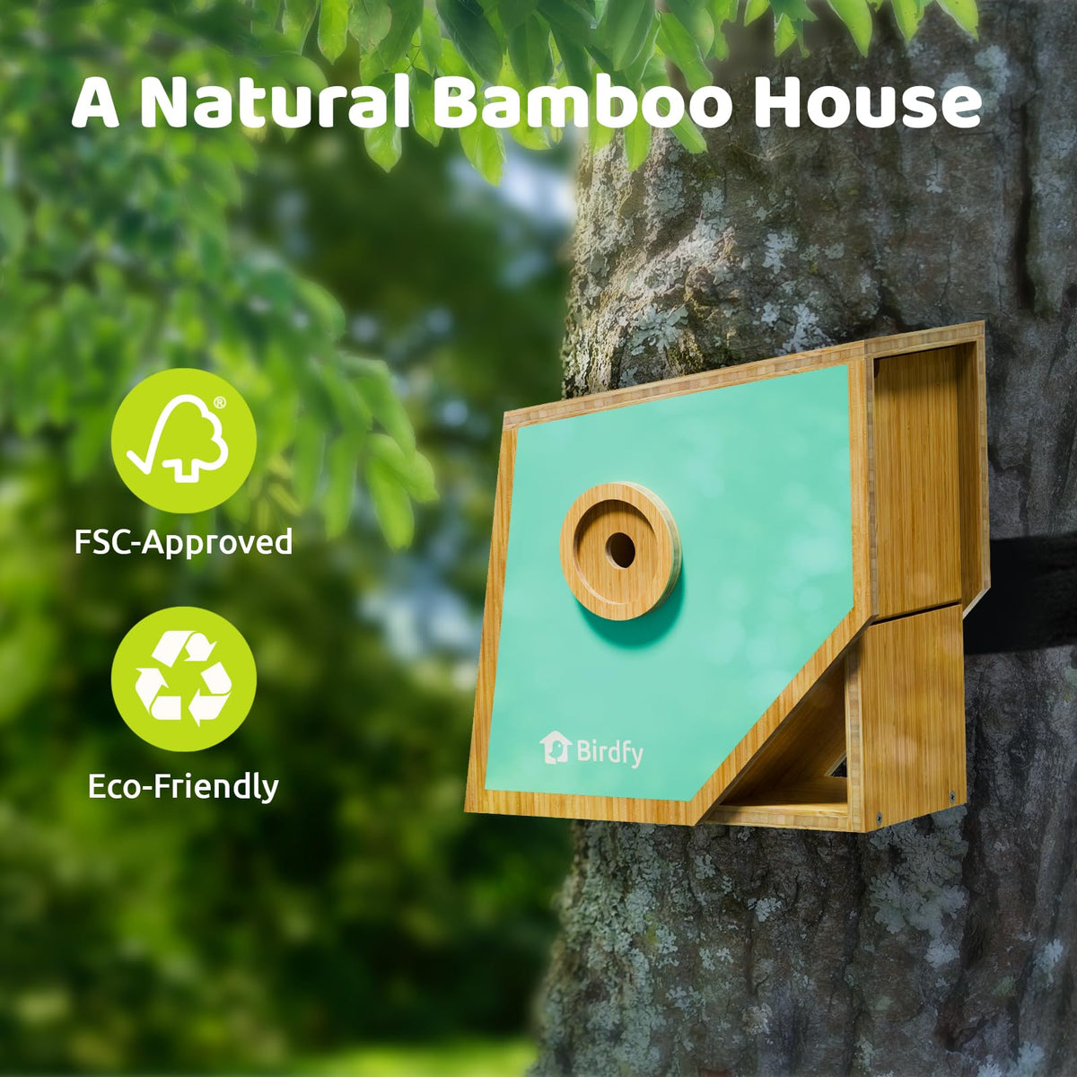 Birdfy remote viewing angle options let you watch birds discreetly.