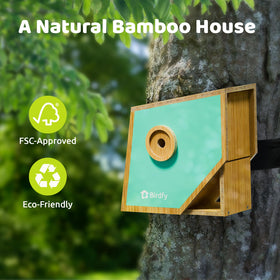 Birdfy remote viewing angle options let you watch birds discreetly.