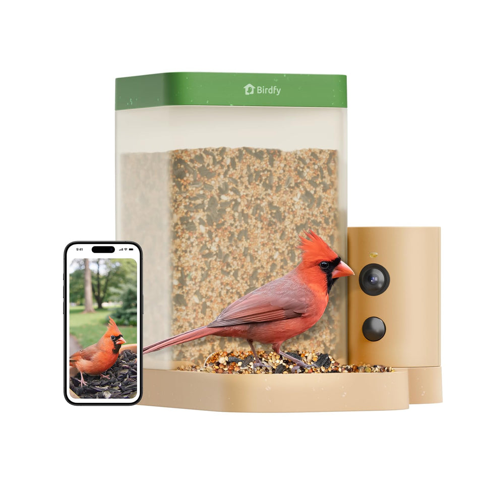 Birdfy Smart Bird Feeder Camera front view captures crisp 1080p footage for day and night birdwatching.