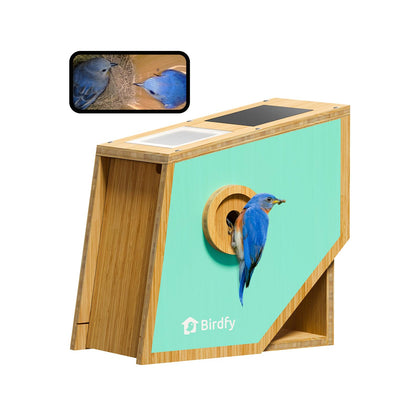 Birdfy smart bird house with camera captures nest details in day and night for easy viewing.