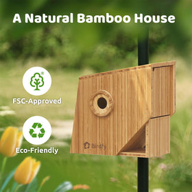 Birdfy Smart Bird House night view demonstrates infrared capability for overnight monitoring