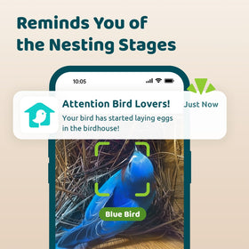 Birdfy remote control panel shows external control for power and settings