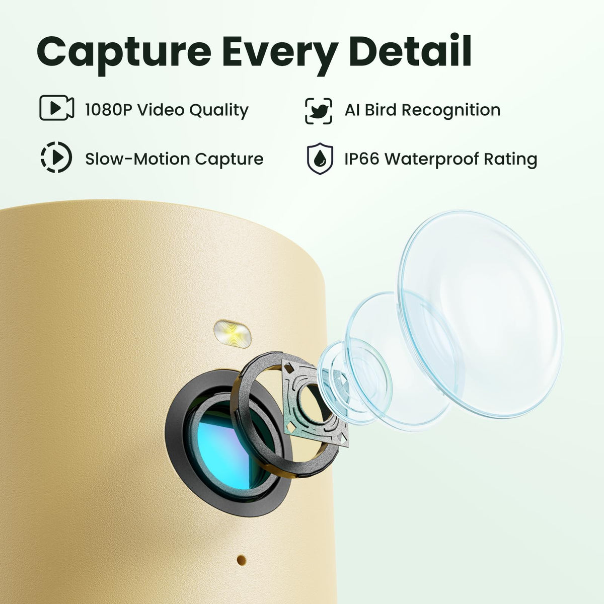 Birdfy solar panel compatibility extends power under normal weather conditions.