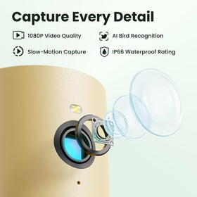 Birdfy solar panel compatibility extends power under normal weather conditions.