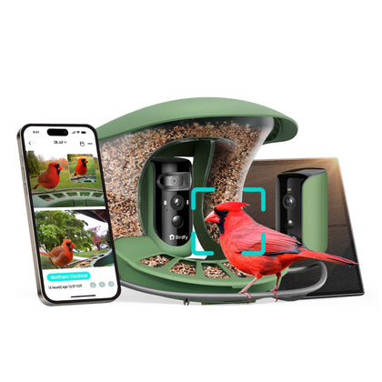 Birdfy triple-lens view captures wide, close, and side angles for rich backyard birding