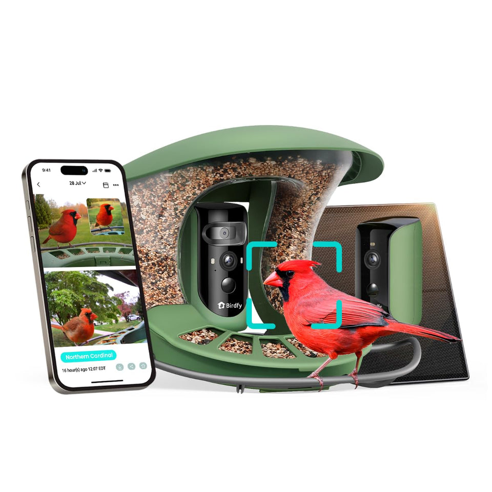 Birdfy triple-lens view captures wide, close, and side angles for rich backyard birding