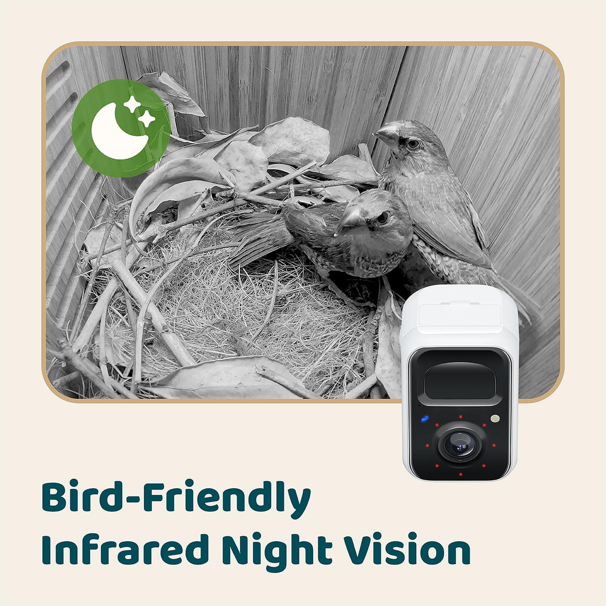 Birdfy weather-ready design supports outdoor use across seasons