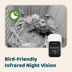 Birdfy weather-ready design supports outdoor use across seasons