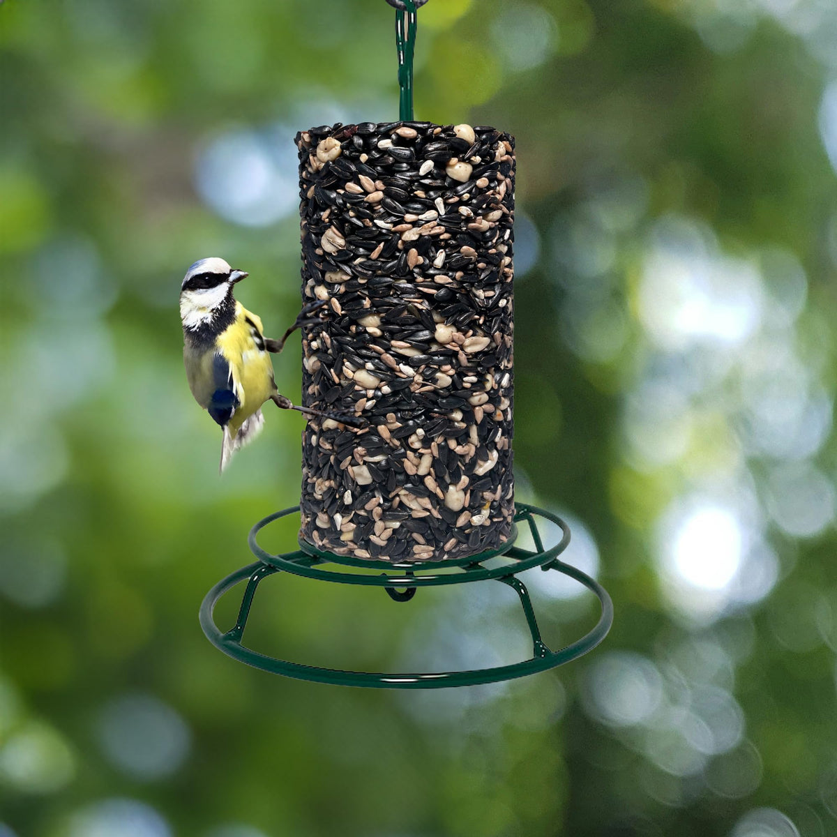 Birdie Blends Perch Party seed cylinder mounted on a feeder for year-round feeding.