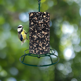Birdie Blends Perch Party seed cylinder mounted on a feeder for year-round feeding.