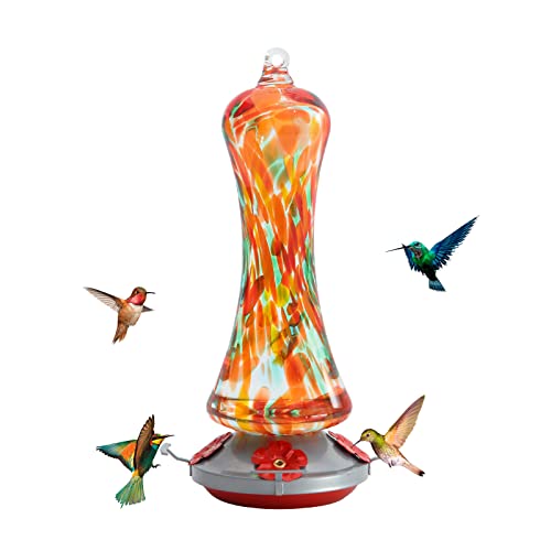 Birdkiss glass hummingbird feeder with orange window hanging, vibrant and inviting.