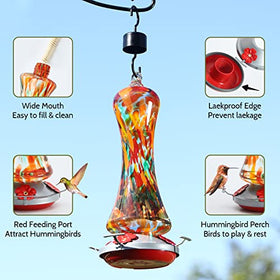 Birdkiss feeder close-up highlighting perch for hummingbirds.