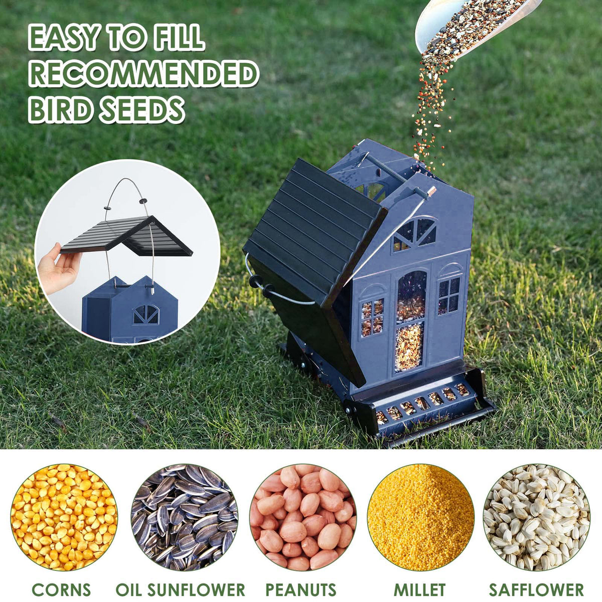 Birdkiss Large-Capacity Feeder indicates 5 lb seed capacity for busy birds.