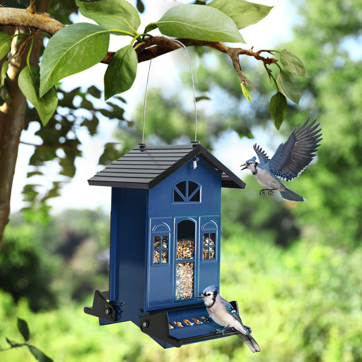 Birdkiss Outdoor-ready metal feeder withstands weather and squirrel attempts.