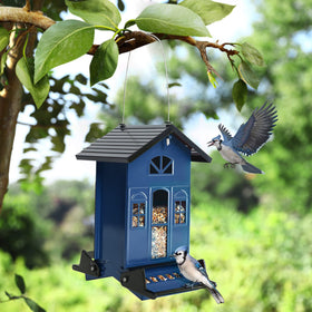 Birdkiss Outdoor-ready metal feeder withstands weather and squirrel attempts.