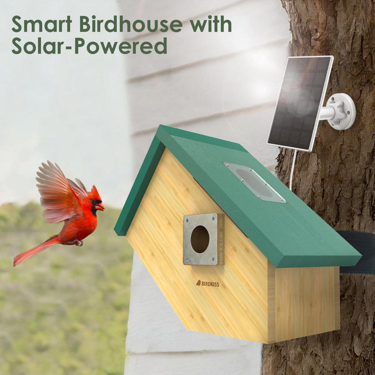 Birdkiss Smart Bird House movement alerts enable quick video capture.