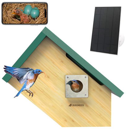 Birdkiss Smart Bird House outdoor camera view captures 1080p footage for close-up birdwatching.