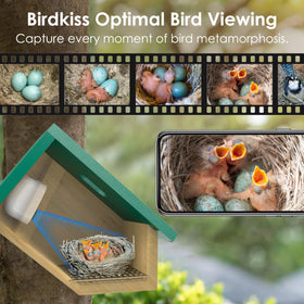 Birdkiss Smart Bird House three optimal angles show diverse nesting perspectives for study.