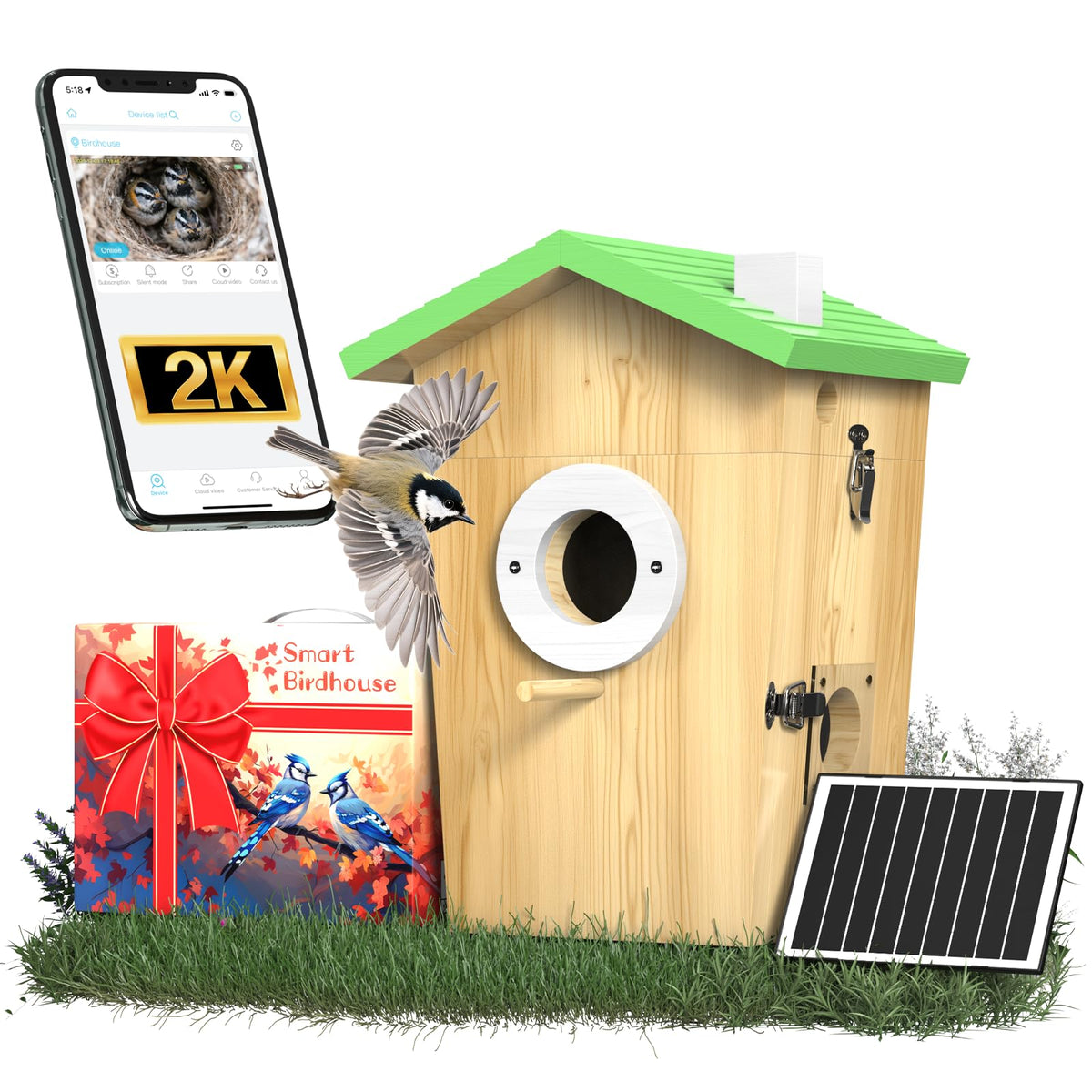 BirdoorKam bird house front view shows a camera-ready enclosure for backyard viewing.