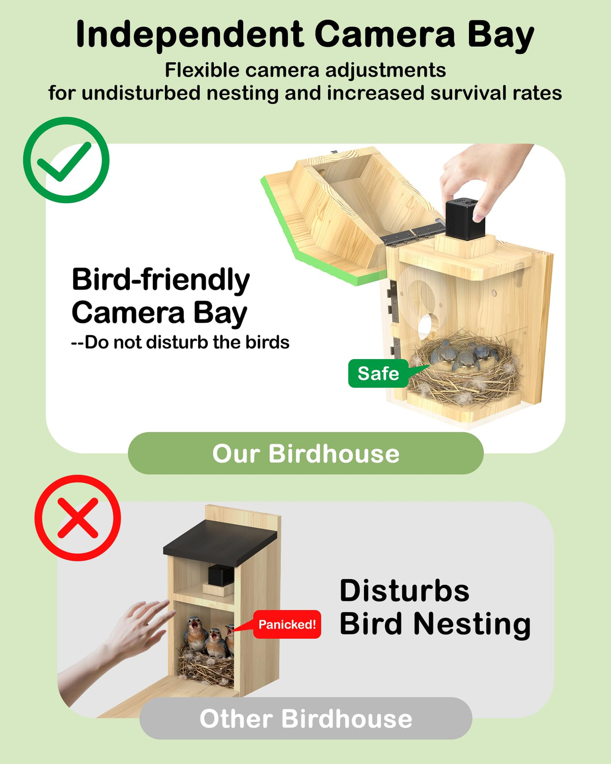 BirdoorKam night vision setup demonstrates no-glow infrared for peaceful bird sleep.