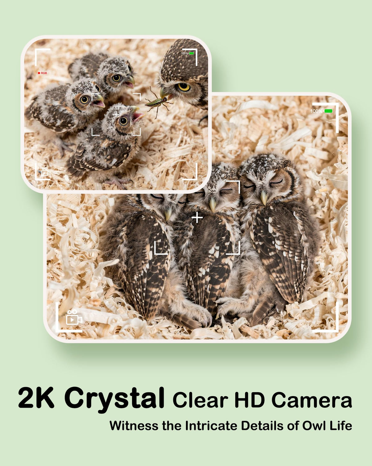 BirdoorKam Outdoor nest box with anti corrosion coating and drainage