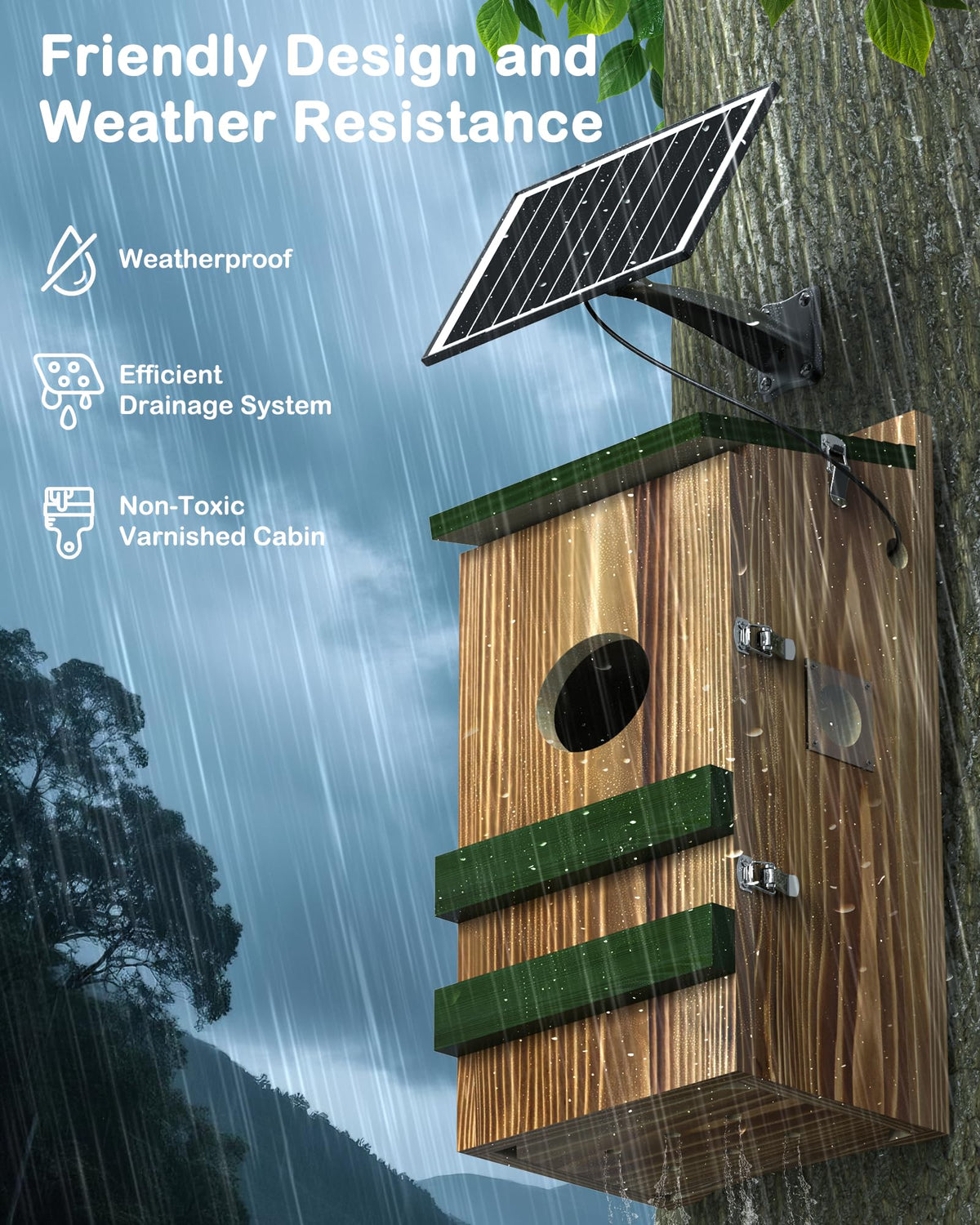 BirdoorKam Owl House 2K HD daylight view with crisp colors for monitoring