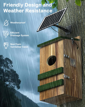 BirdoorKam Owl House 2K HD daylight view with crisp colors for monitoring