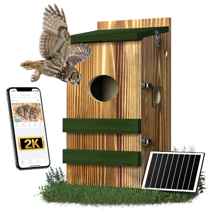 BirdoorKam Owl House camera 4G view for real time nesting observation