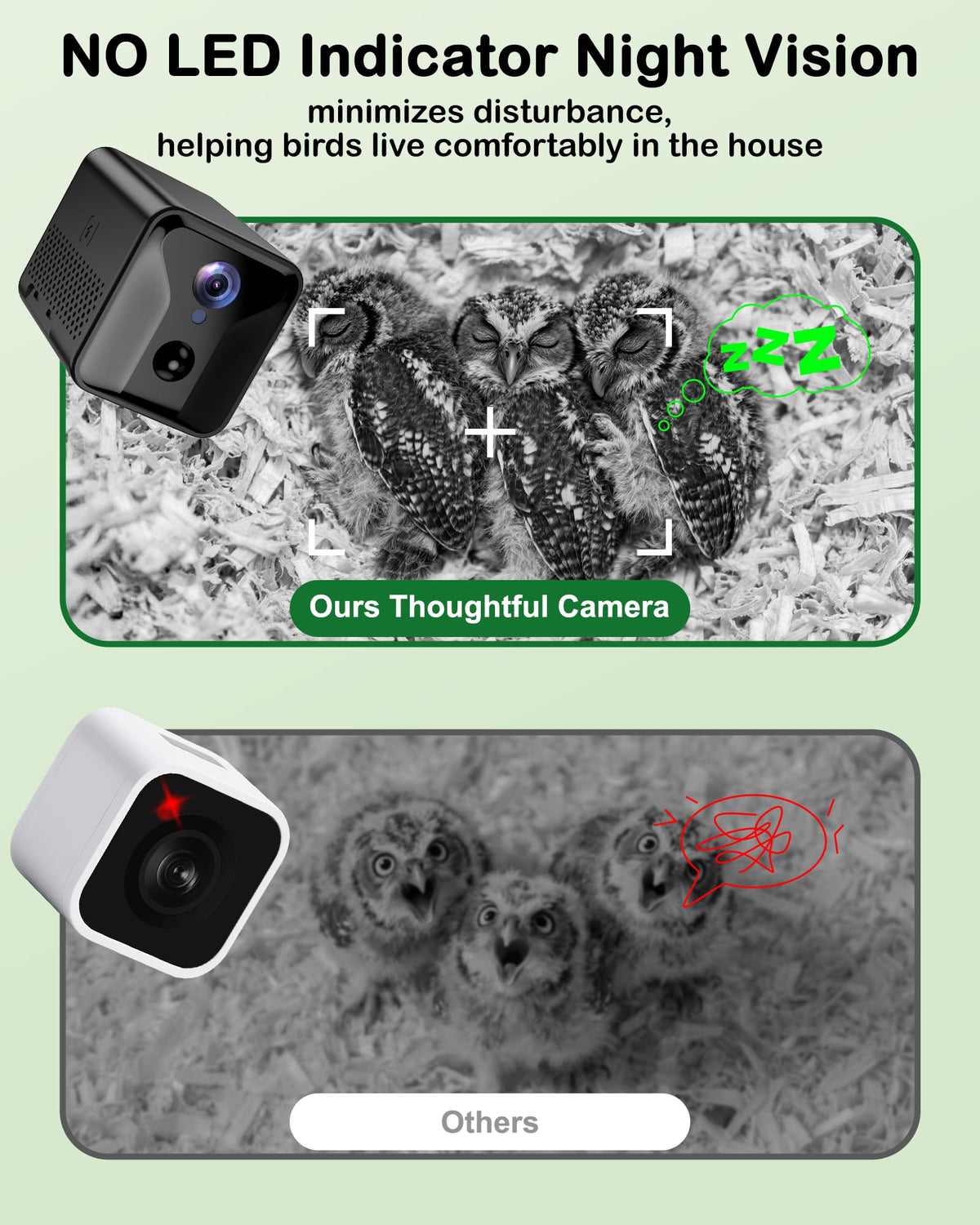 BirdoorKam Owl House night vision image enables quiet nocturnal monitoring