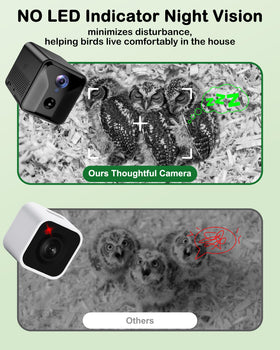 BirdoorKam Owl House night vision image enables quiet nocturnal monitoring