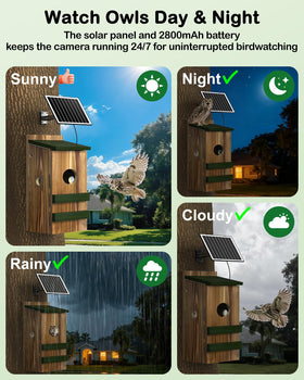 BirdoorKam Outdoor mounting on wall or tree trunk for stable installation