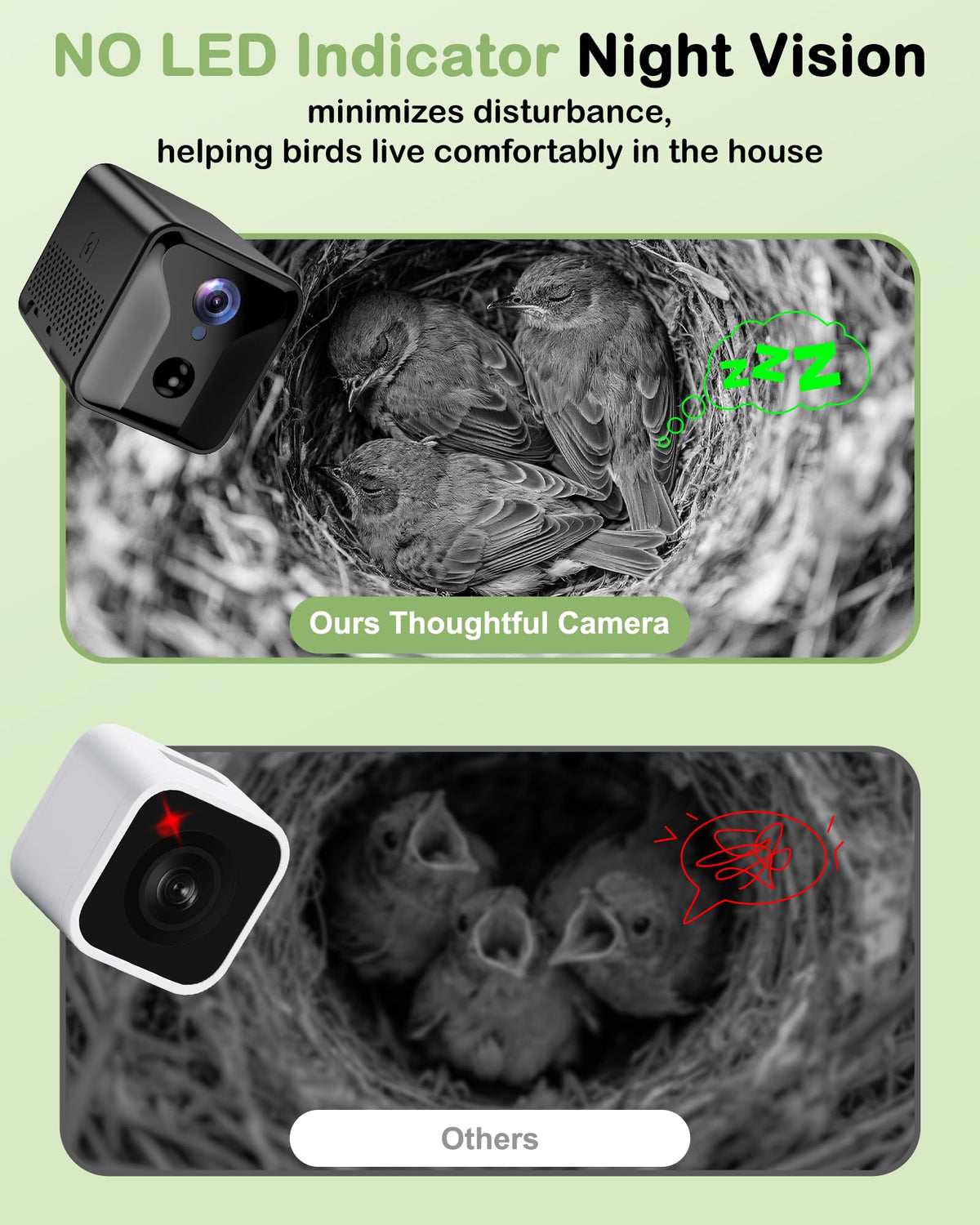 BirdoorKam top hatch access demonstrates easy lens adjustment without nest disturbance.