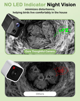 BirdoorKam top hatch access demonstrates easy lens adjustment without nest disturbance.