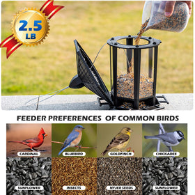 Birdream bird feeder with 10 lb capacity for seed storage