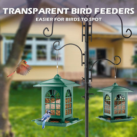 Birdream backyard view with birds perched on a green courtyard feeder.