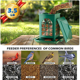 Birdream bird feeder with clear panels showing seed levels for tidy refills.