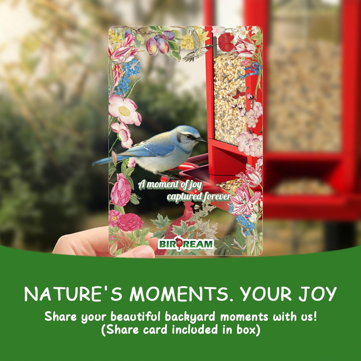 Birdream outdoor gift idea: captivating nature watching for family.