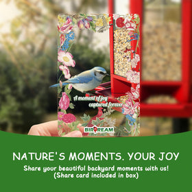 Birdream outdoor gift idea: captivating nature watching for family.