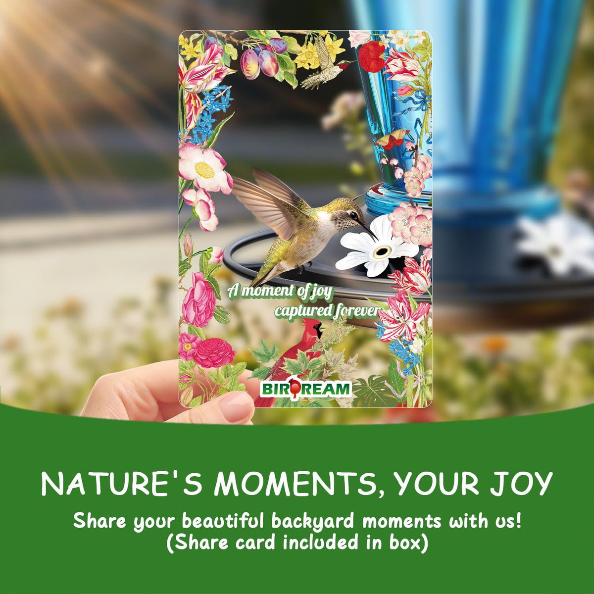 Birdream hummingbird feeder geometric design gleams in sunlight