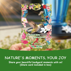 Birdream hummingbird feeder geometric design gleams in sunlight