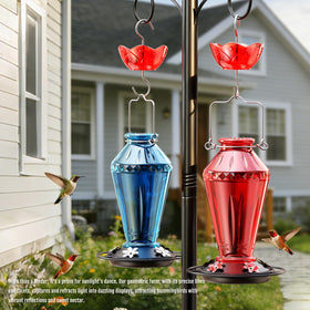 Birdream hummingbird feeder gift box packaging ready for gifting
