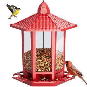 Birdream pagoda-style bird feeder hanging outdoors attracts sparrows.