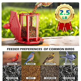 Birdream outdoor feeder with clear seed window invites goldfinches.